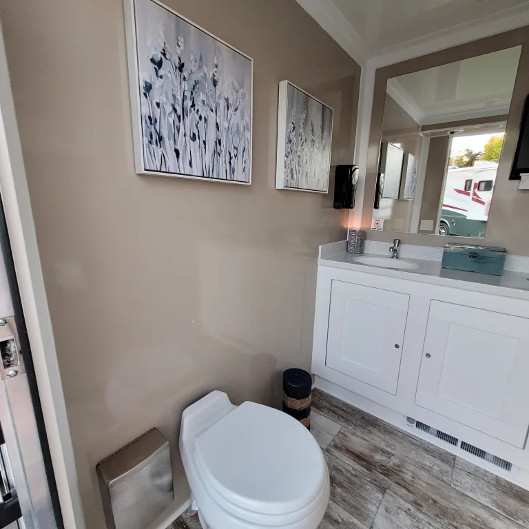 Private room showing the flushing toilet and sink cabinet.